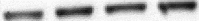 graphic file with name kadi-08-01-1528811-i005.gif