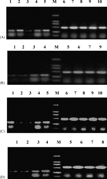 Fig. 5