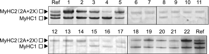 FIGURE 1