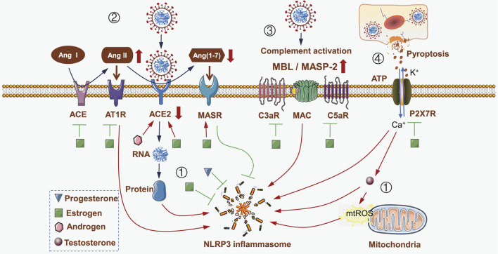 FIGURE 1