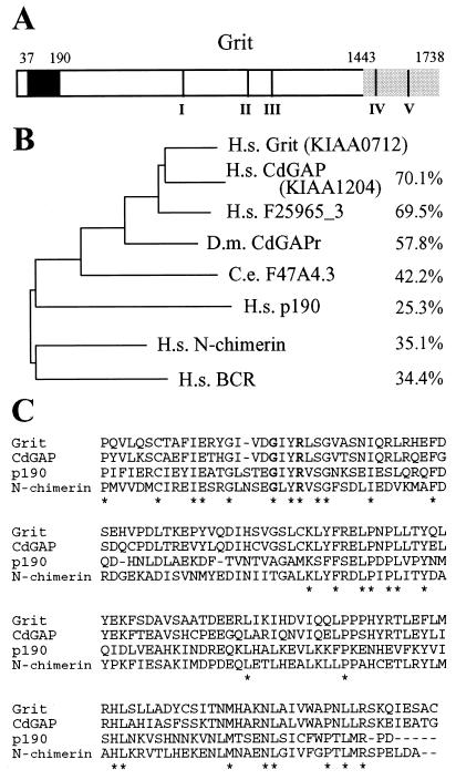 FIG. 1.