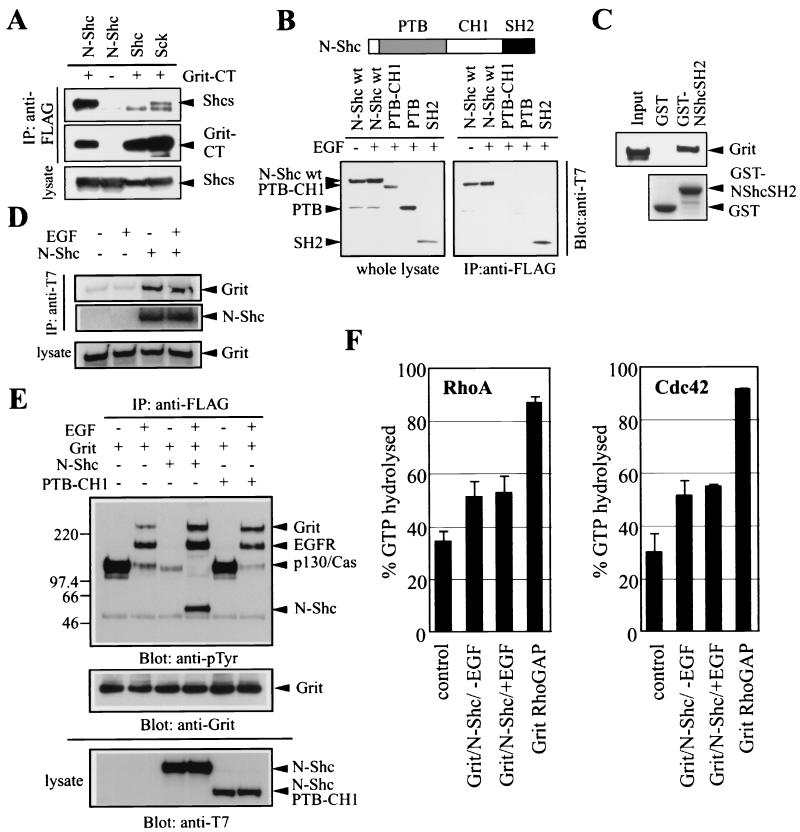 FIG. 7.