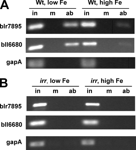 FIG. 5.