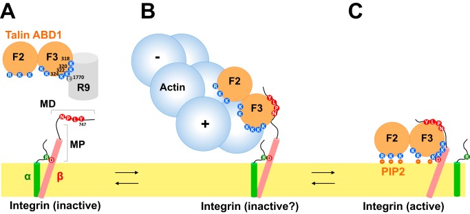 Figure 7.