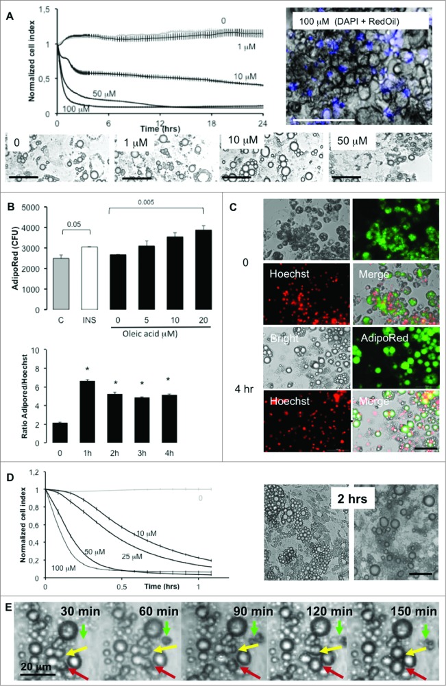 Figure 5 (See previous page).