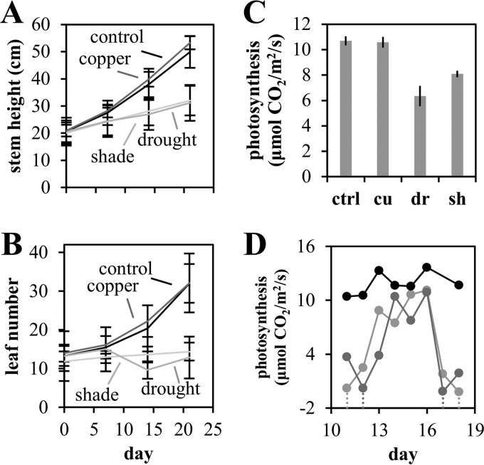 FIG 1 