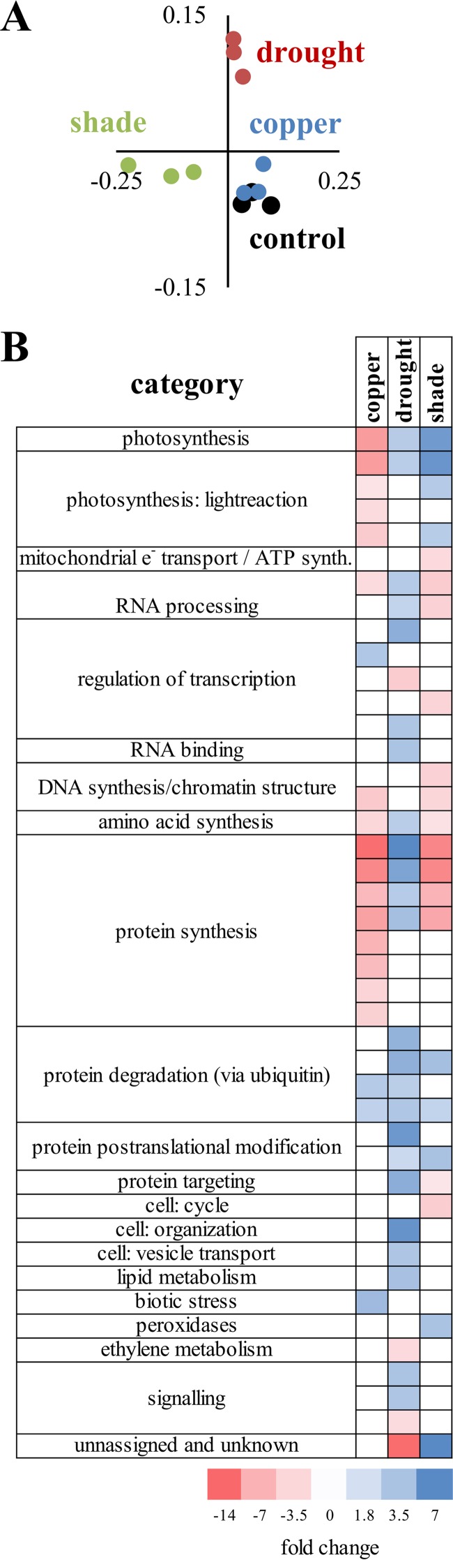 FIG 2 