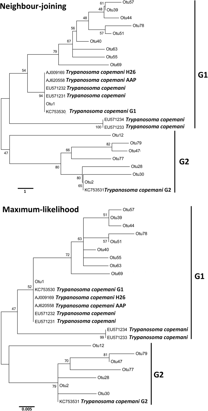 Supplementary Fig. 1