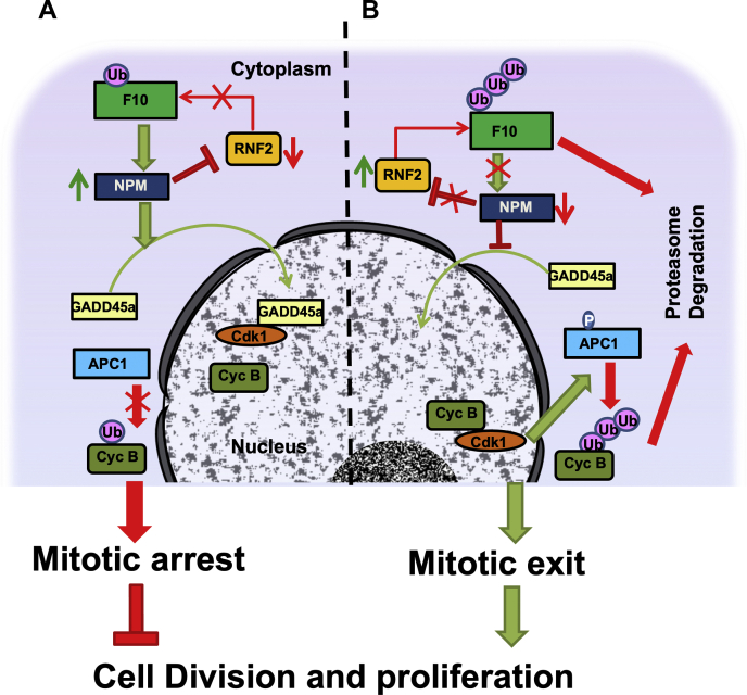 Figure 7