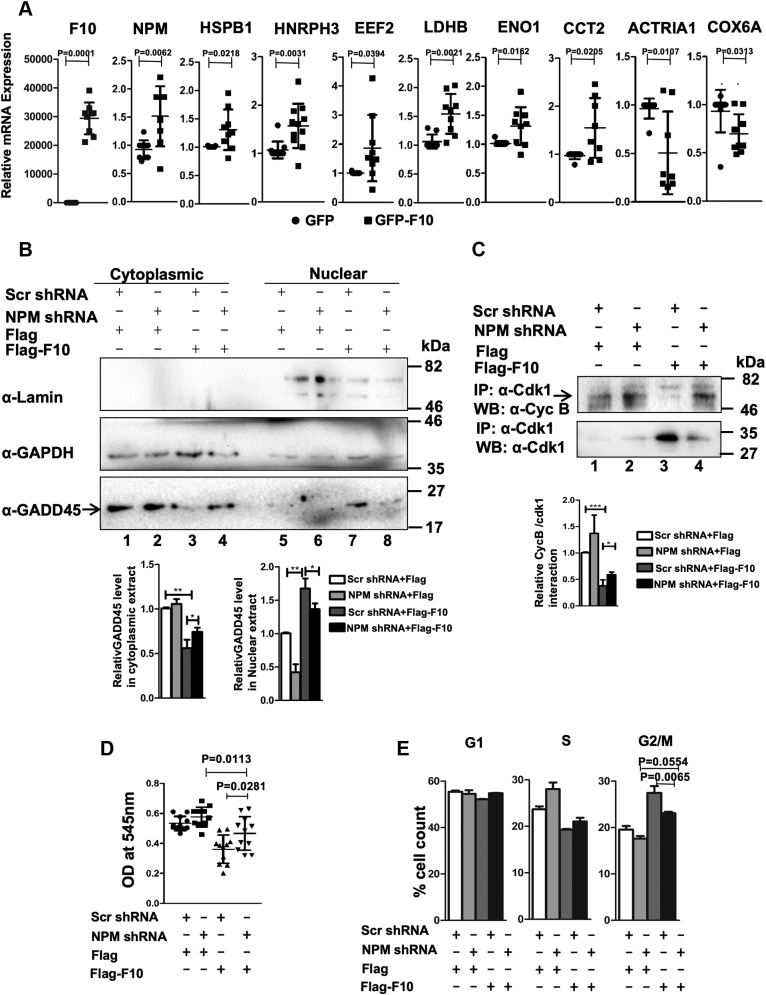 Figure 3