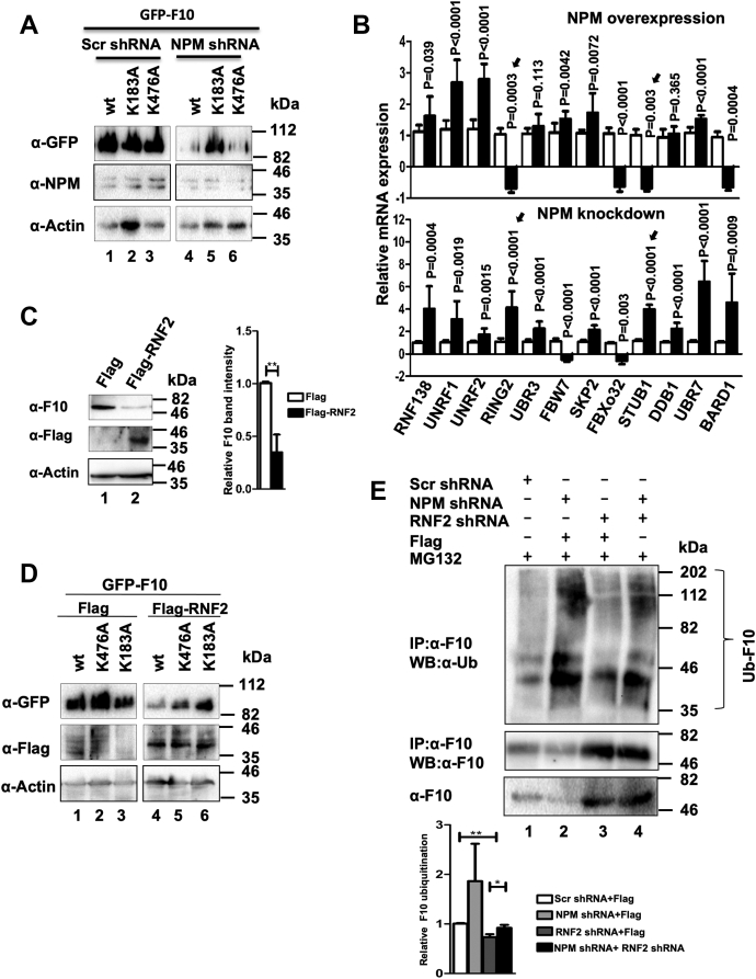 Figure 5