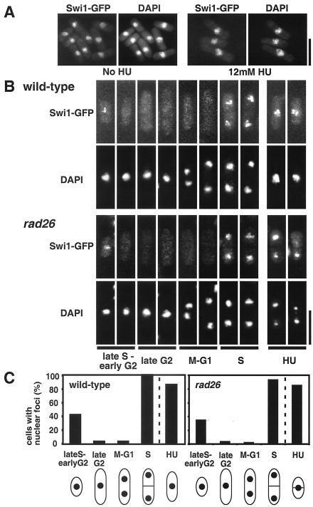 FIG. 7.