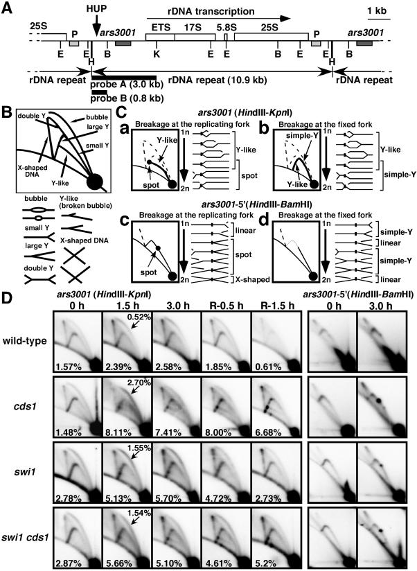 FIG.4.