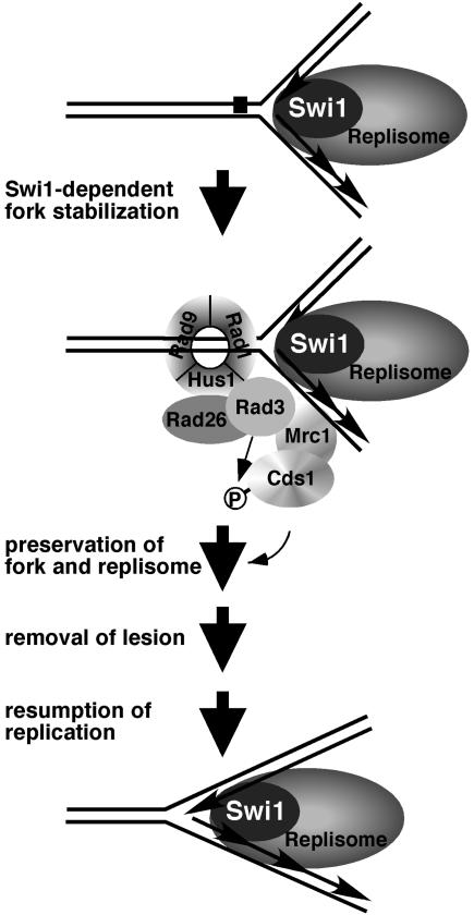 FIG. 8.