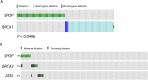 Figure 2—figure supplement 4.