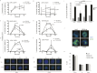 Figure 3—figure supplement 3.