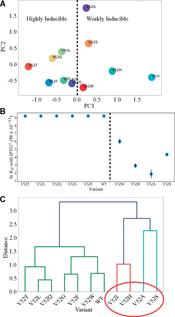 Fig. 6.