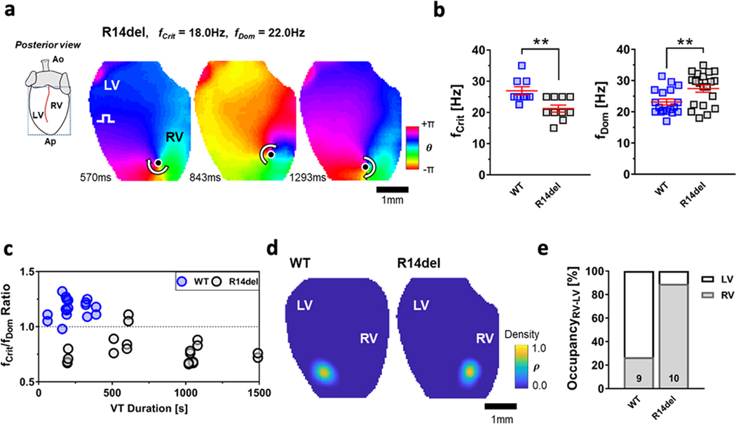 Figure 5: