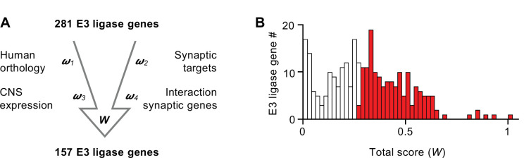 Figure 1—figure supplement 1.