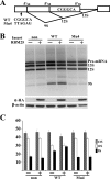 FIG. 9.