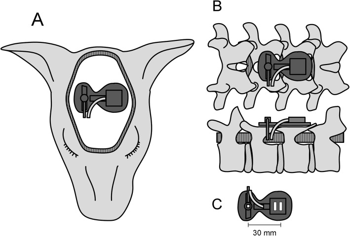 Fig. 1