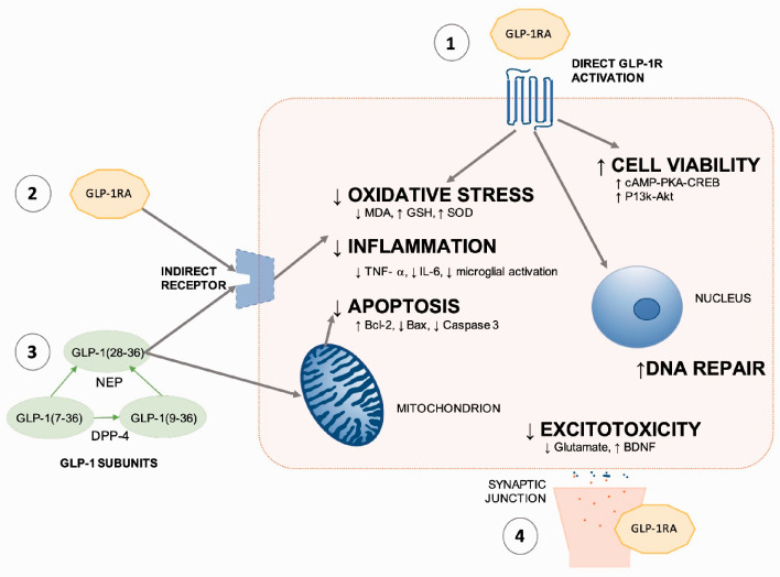 Figure 2.