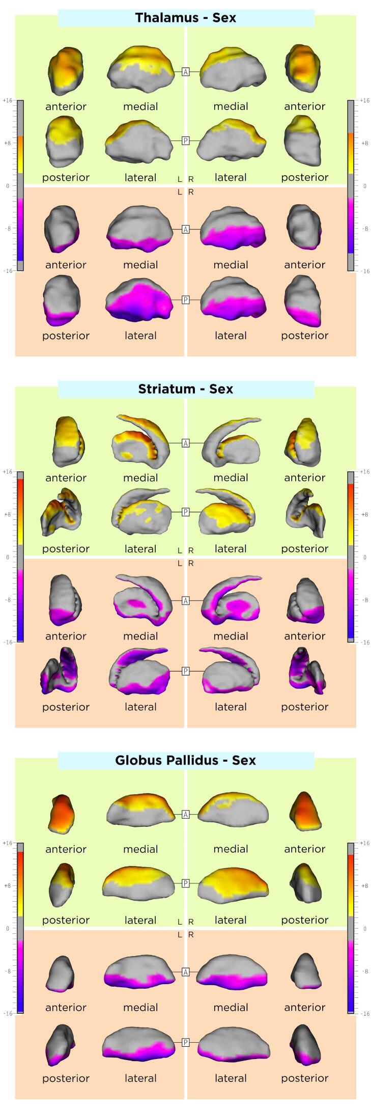 Supplementary figure 2