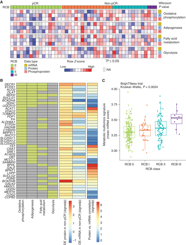 Figure 3. Proteogenomic features associated with the lack of pCR in TNBC tumors. A, Heat map showing ssGSEA normalized enrichment score for metabolic Hallmark pathways that are significantly higher in non-pCR cases, arranged by RCB 0 (pCR) and RCB I/II/III (non-pCR). Shown are the four pathways that showed significant enrichment at either the RNA or protein level in Fig. 1E. Single-sample pathway enrichment scores were assessed at the level of mRNA (yellow), protein (blue), and phosphoprotein (red). The Wilcoxon rank sum test was used to compare scores for non-pCR vs. pCR scores; *, P < 0.05. NA, not available. B, Membership of differentially regulated proteins to pathways highlighted in A. Proteins (rows) belonging to a given pathway (columns) are shown in light green. The differential expression (DE) at protein and mRNA levels for each gene along with mRNA–protein correlation scores are shown as signed −log10 P value (signedp). C, A multiomics metabolic gene signature derived for genes that are correlated at mRNA and protein levels was further investigated in patients treated with carboplatin and paclitaxel in the BrighTNess clinical trial (treatment arms A and B) for which RNA-seq data were available. The mean mRNA expression score for this signature was significantly higher in higher RCB tumors.