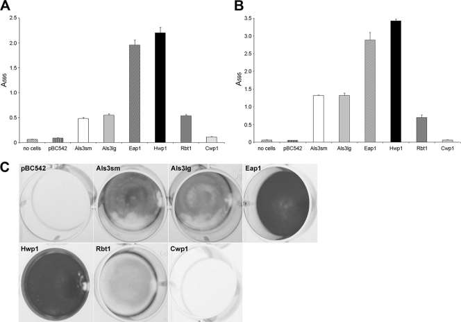 Fig. 4.