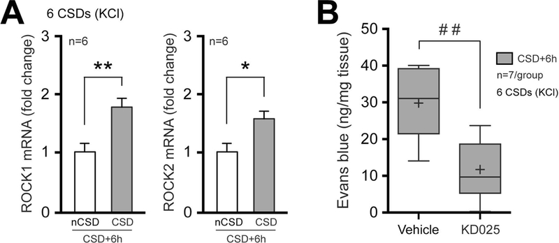 Figure 9.