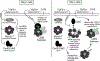 Figure 6:
