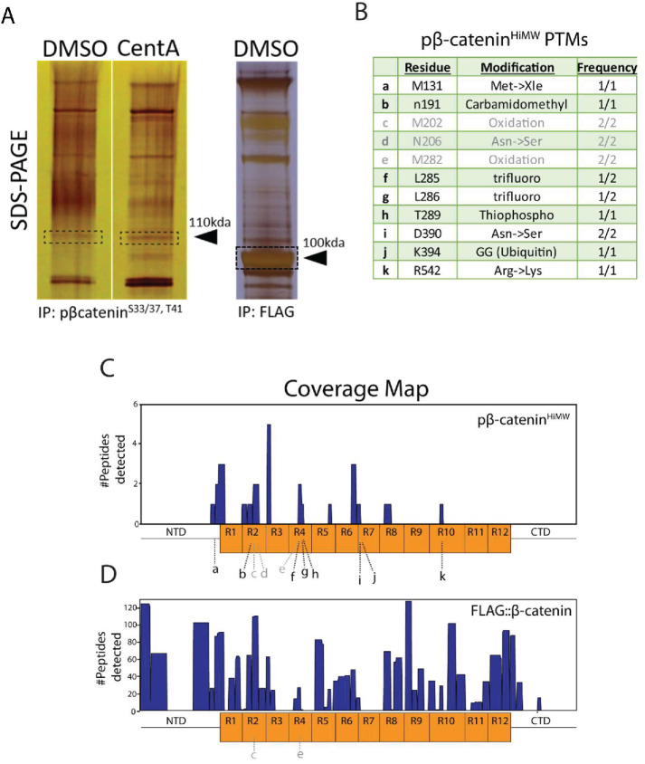 FIGURE 5: