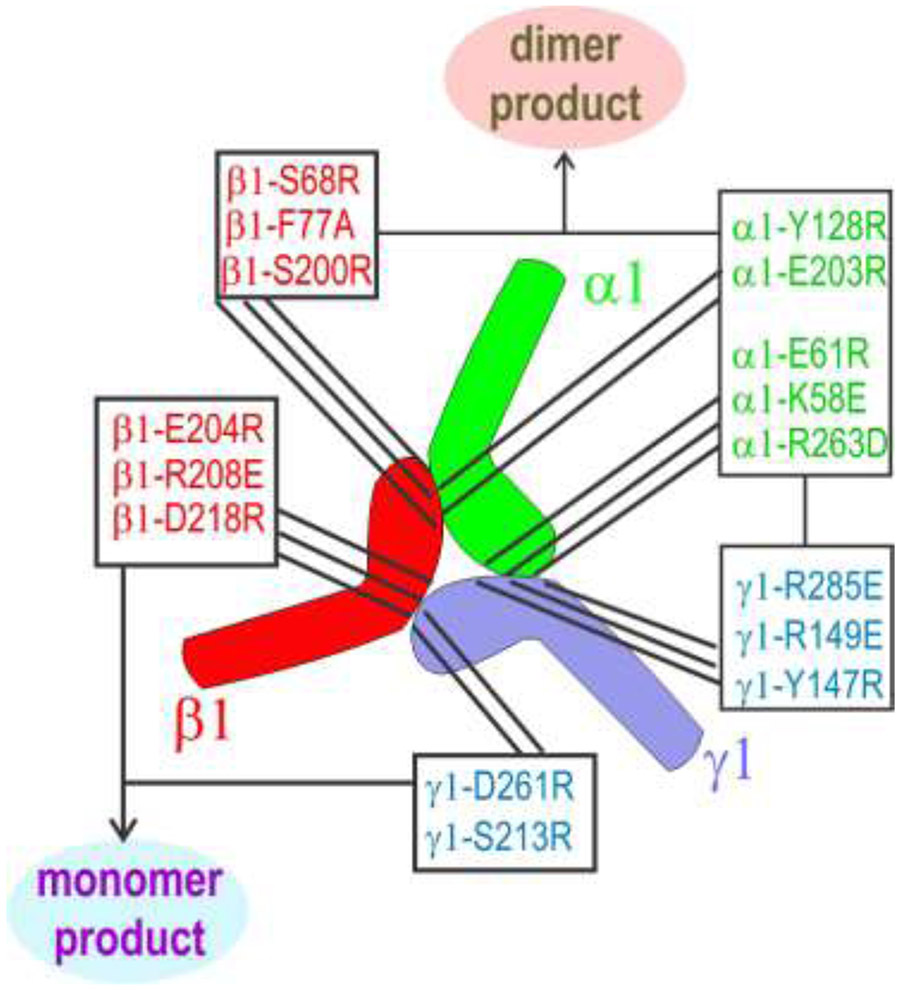 Fig. 9.