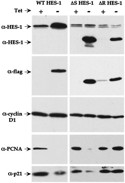 FIG. 7