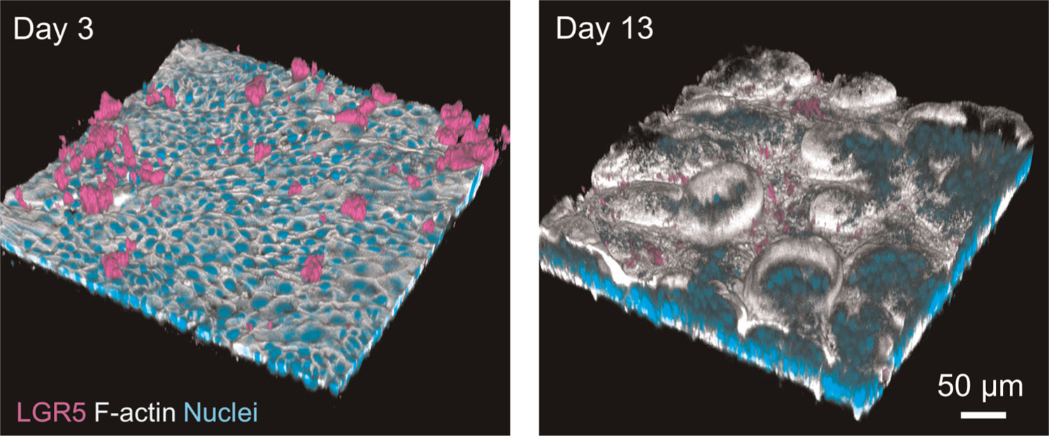 Extended Data Fig. 3 |