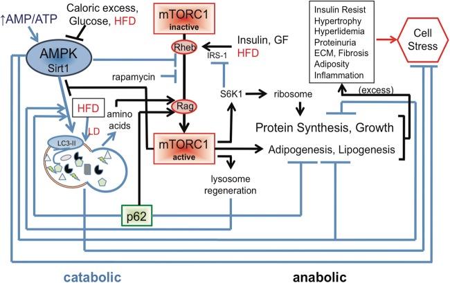 FIGURE 2: