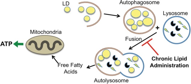 FIGURE 3: