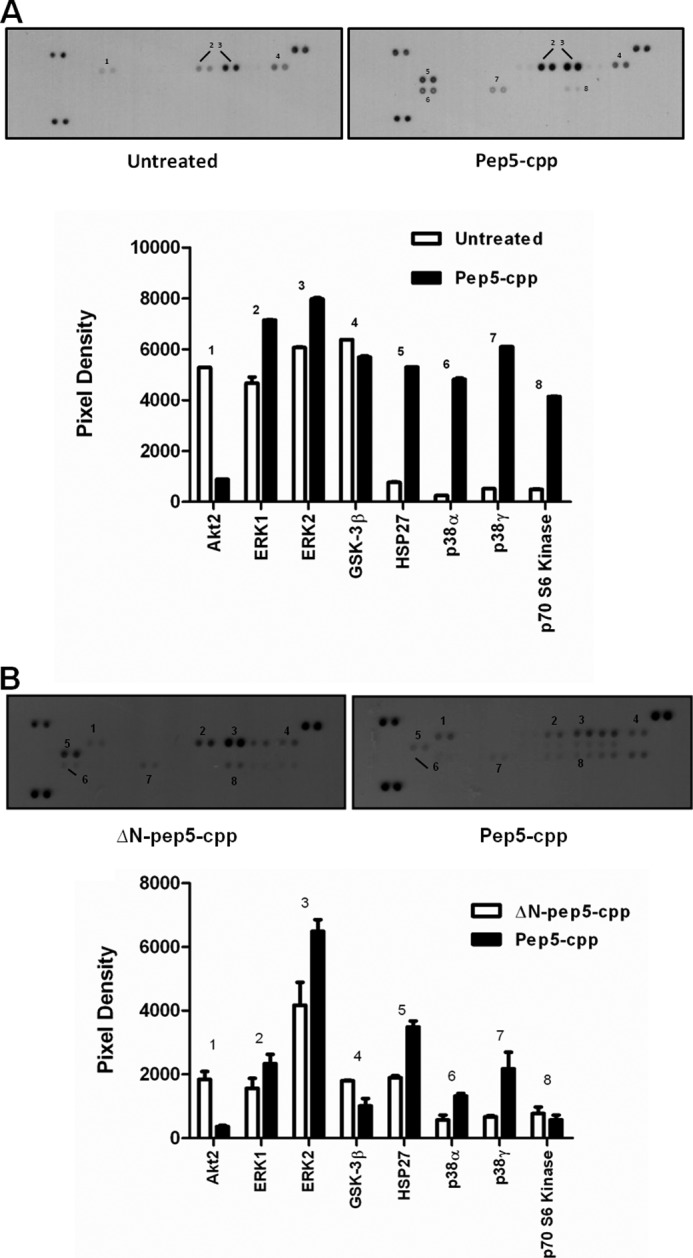 FIGURE 12.