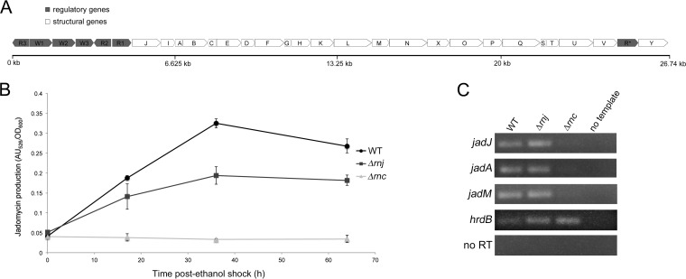 FIG 3