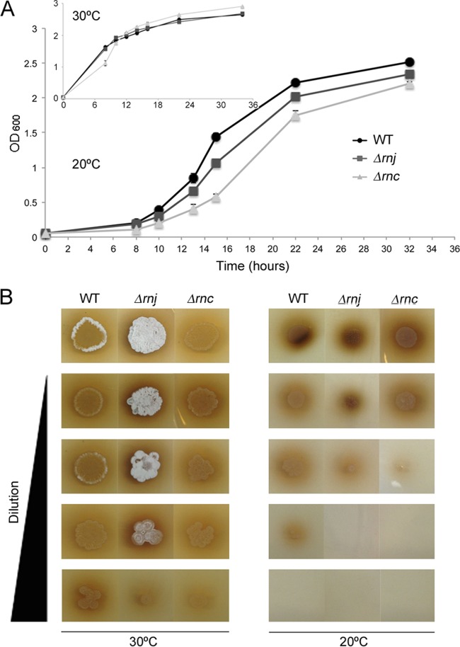 FIG 4