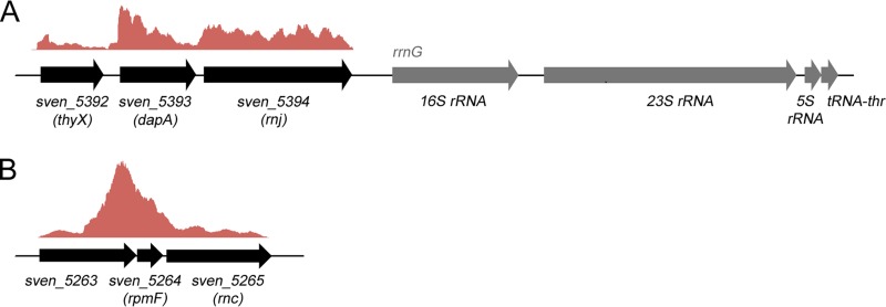 FIG 1