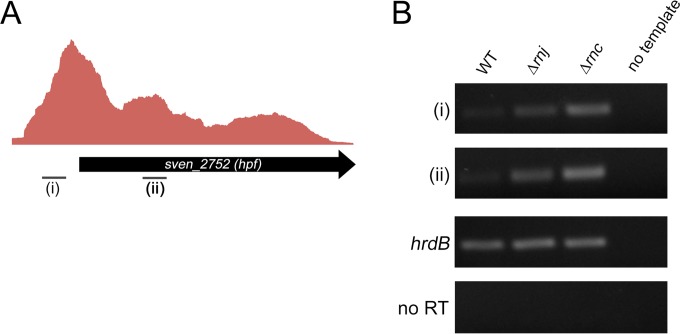 FIG 6