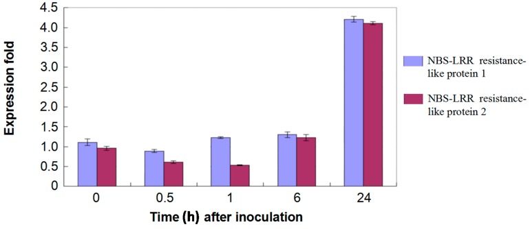 Figure 7