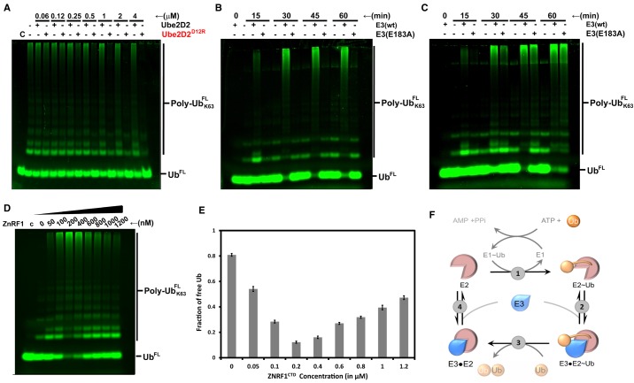 Figure 4.