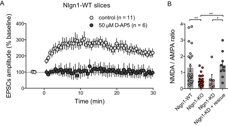 Figure 5—figure supplement 1.