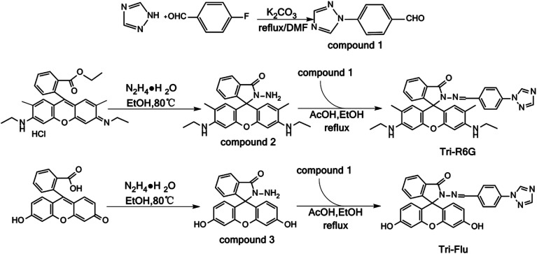 Scheme 1