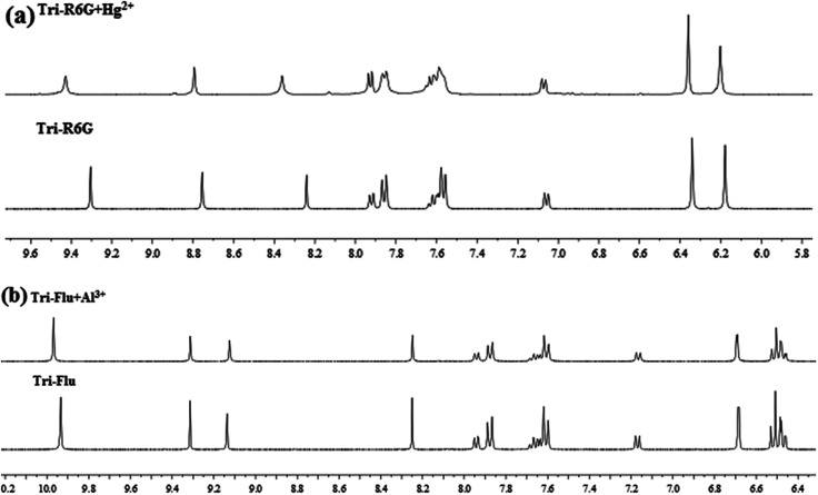 Fig. 12