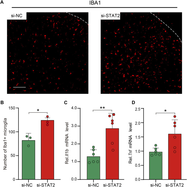 FIGURE 6