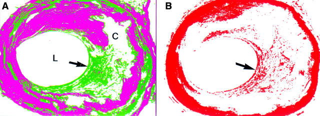 Figure 2  