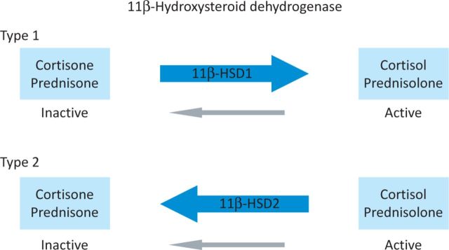 Fig 2.